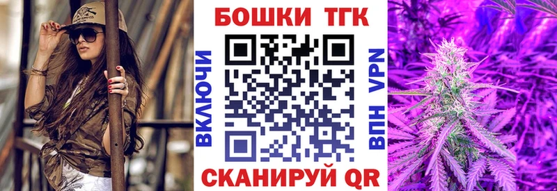ГАШ Щёкино