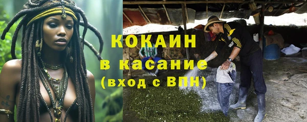твердый Лиски