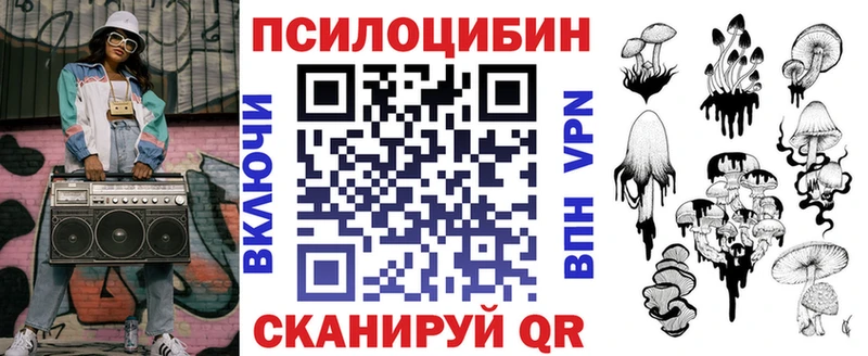 продажа наркотиков  Щёкино  Псилоцибиновые грибы MAGIC MUSHROOMS 